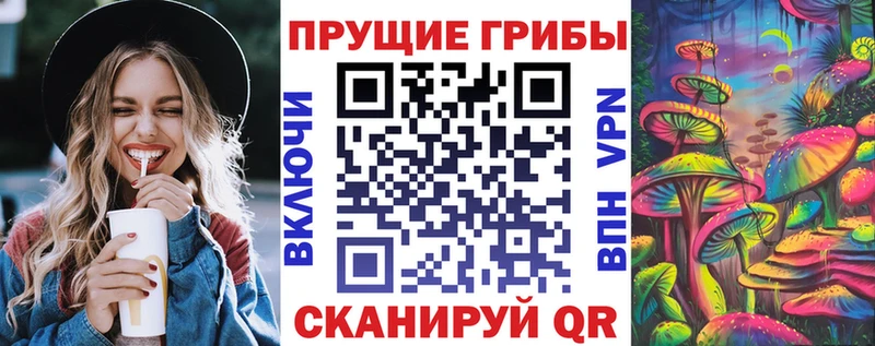 Галлюциногенные грибы GOLDEN TEACHER  хочу наркоту  Горняк 